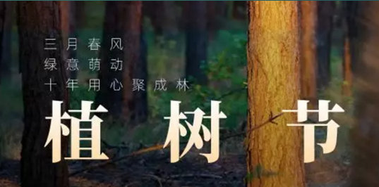 科瑪森植樹節(jié)的儀式感，與客戶共建事業(yè)